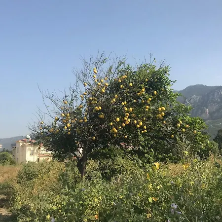 Vittoria Villa